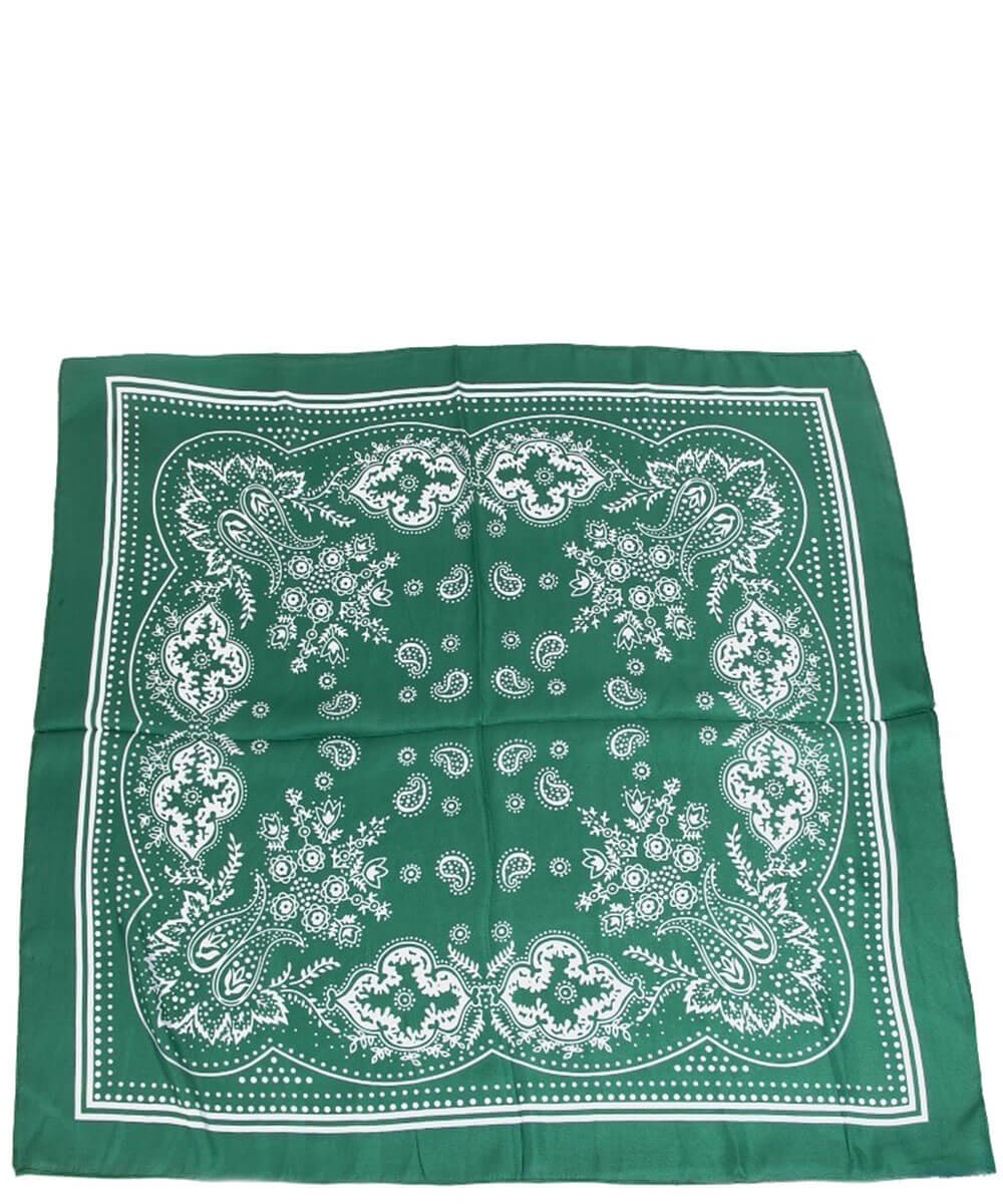 Paisley Wild Rag Scarf