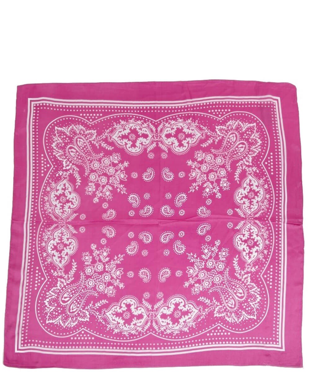 Paisley Wild Rag Scarf