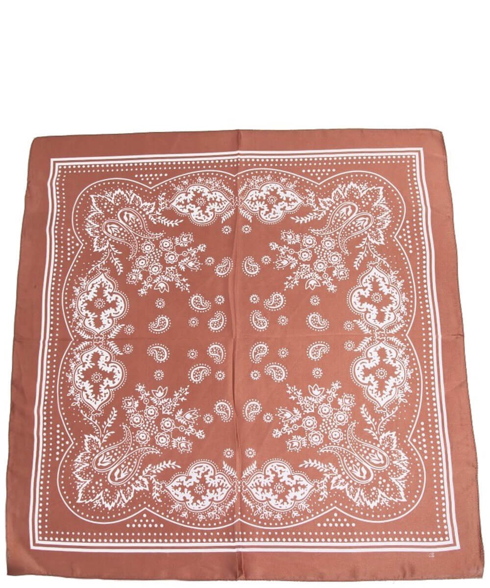 Paisley Wild Rag Scarf