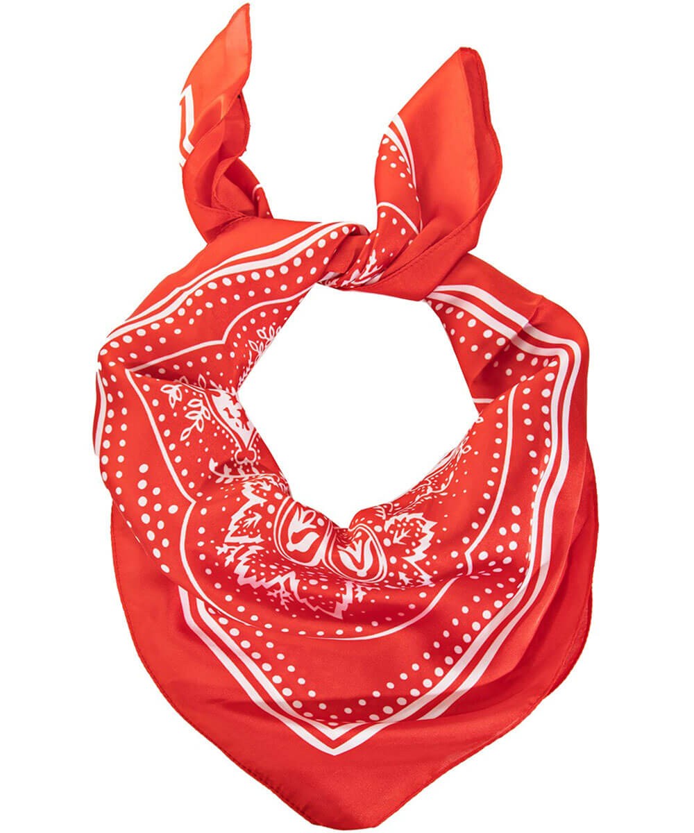 Paisley Wild Rag Scarf