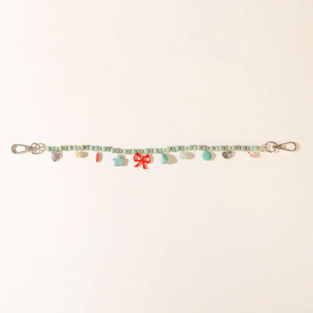 Charmed Bag Chain and Charm